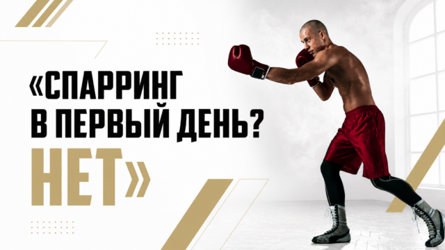 Спарринг в первый день? Нет — GW Fitness Купчино