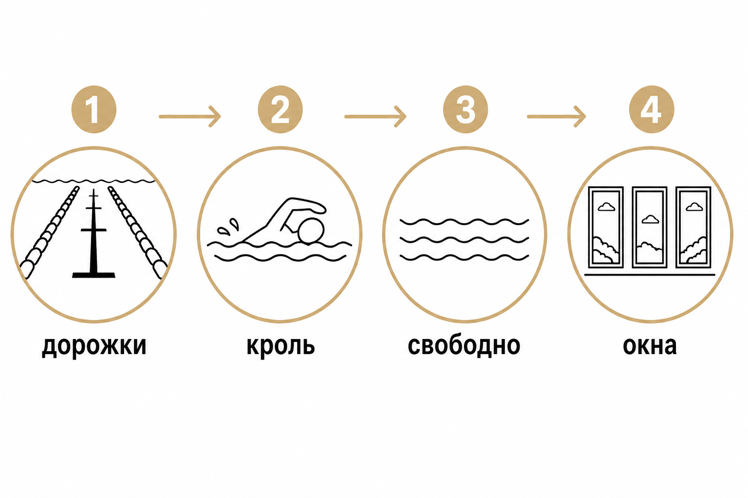 Схема свободного плавания по дорожкам бассейна GW