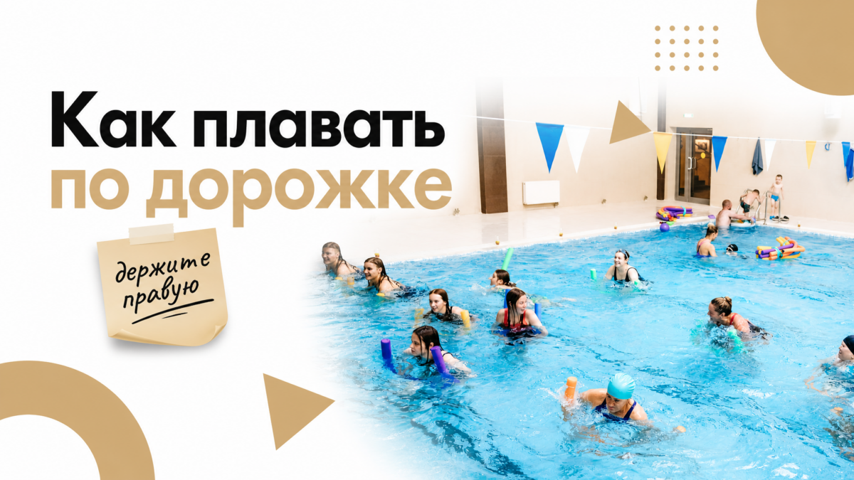 Плавание по дорожкам бассейна: правила этикета для новичков